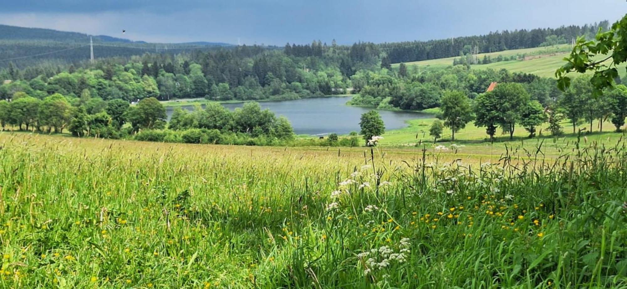 Mai-Ferienhaus-Harz 210Qm Клаусталь-Целлерфельд Екстер'єр фото