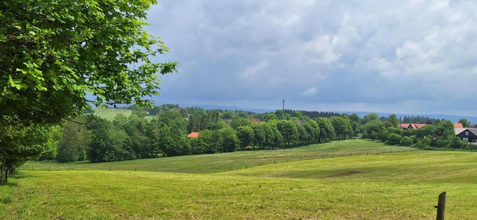 Mai-Ferienhaus-Harz 210Qm Клаусталь-Целлерфельд Екстер'єр фото